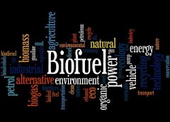  甲基反亞油酸甲酯