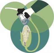  生物煉制：可持續(xù)發(fā)展新模式