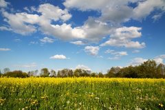  油酸甲酯廠家：國內(nèi)油酸甲酯主要生產(chǎn)廠家