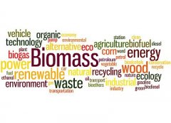  脂肪酸甲酯：有關(guān)生物柴油財稅新政的若干疑惑