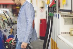  亞油酸甲酯屬于什么類化合物